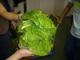 santyu